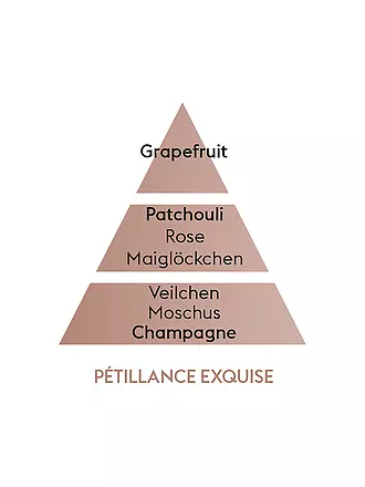 MAISON BERGER PARIS | Sprudelnde Lebensfreude - Lampe Berger Duft 500 ml | 